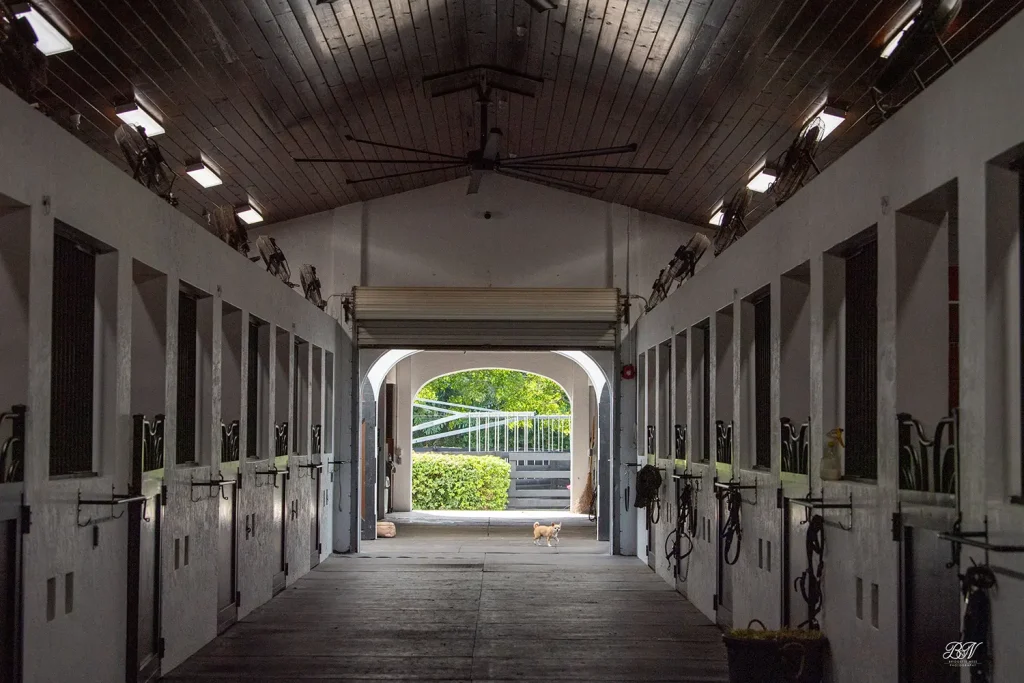 Dragon's Lair Farm Wellington, Florida